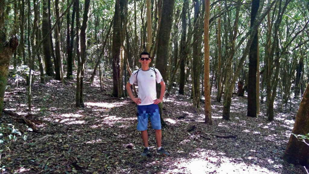 Bosque dos Duendes