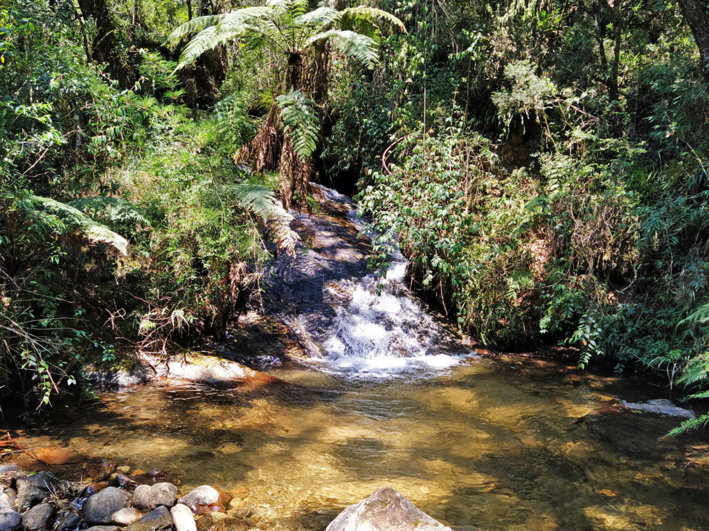 Cachoeira da Galharda - Horto Florestal