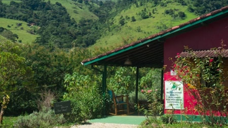 Bruxinhas do Mato - São Francisco Xavier
