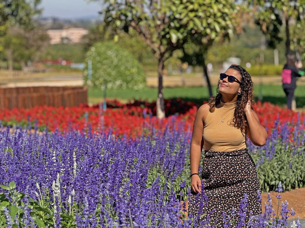Campos de flores de Holambra