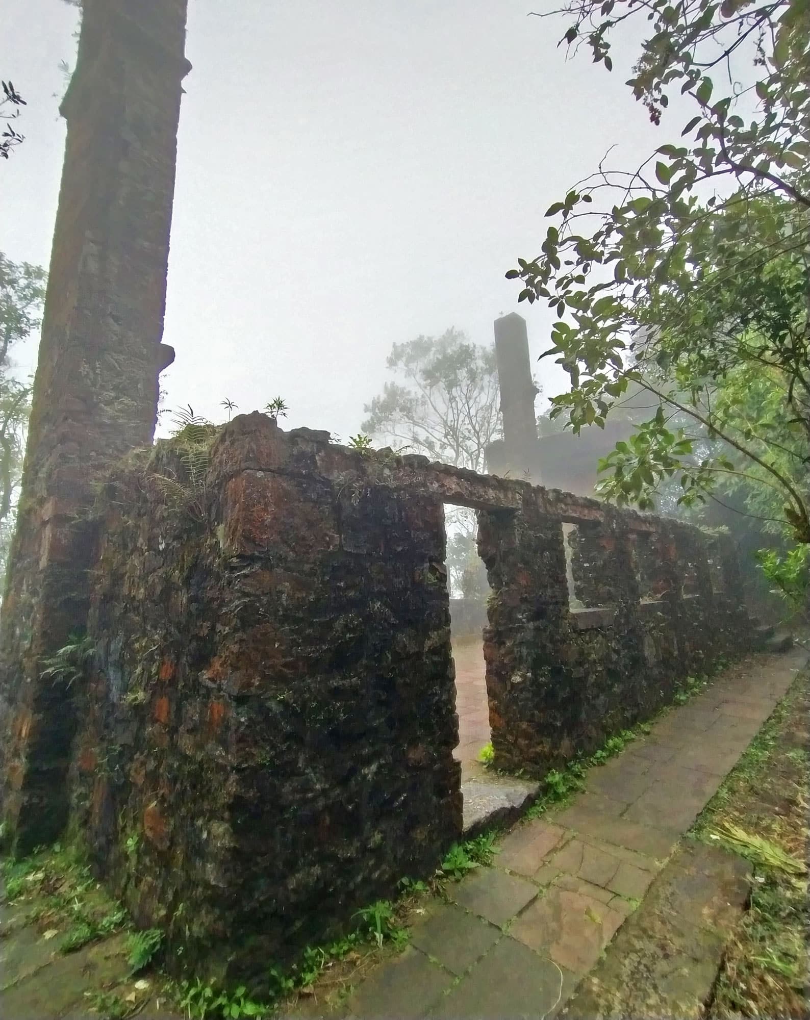 Ruínas da Estrada Velha de Santos