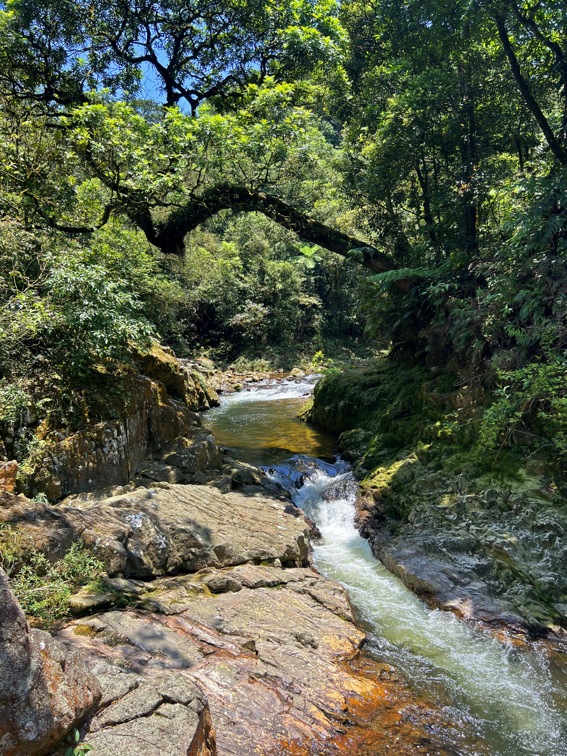 Cachoeira da Torre