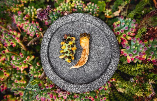 Gustu - Restaurante La Paz