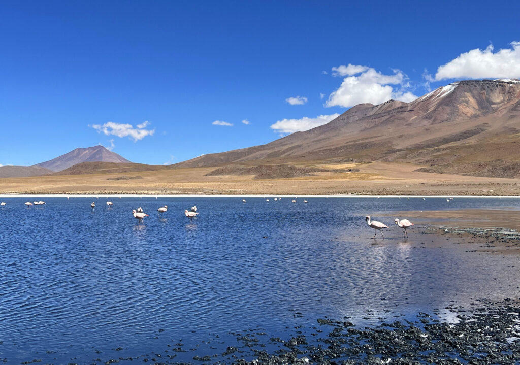 Laguna Cañapa