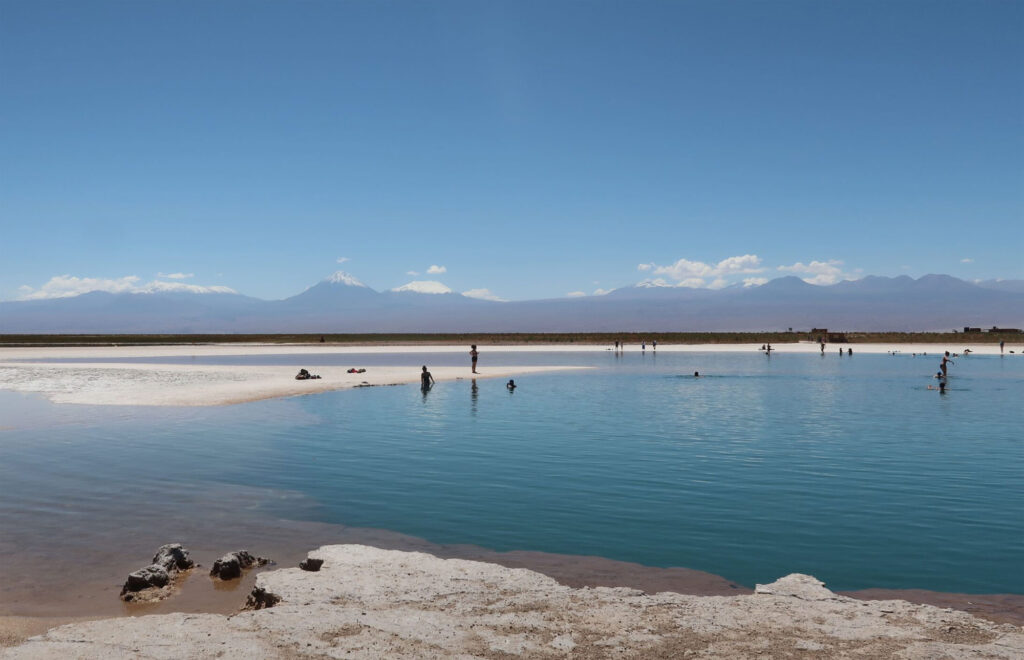 Laguna Cejar, Atacama