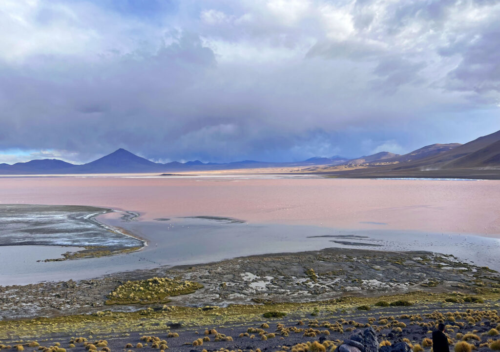 Laguna Colorada
