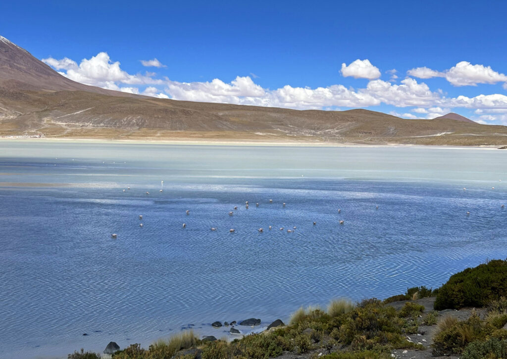 Laguna Hedionda