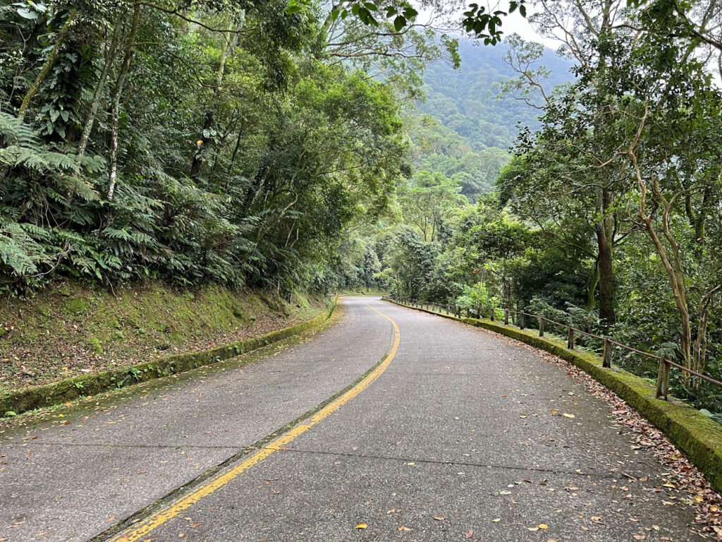Estrada Velha de Santos