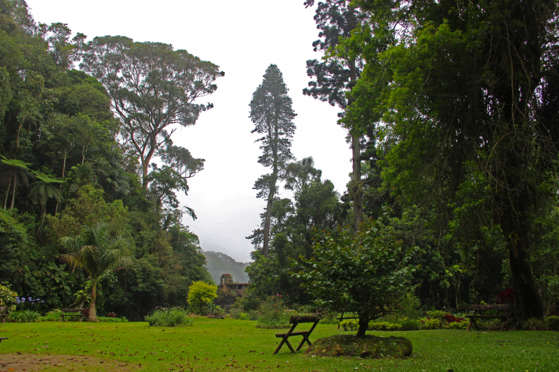 Parque Natural Municipal de Petrópolis