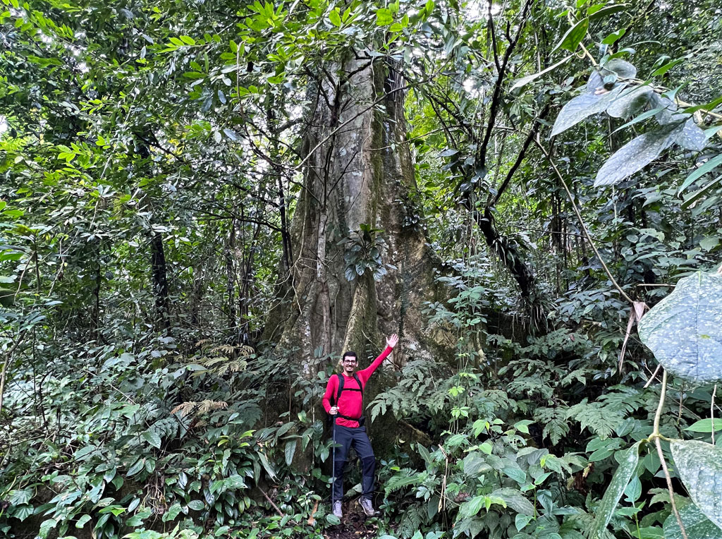Serra da Bocaina