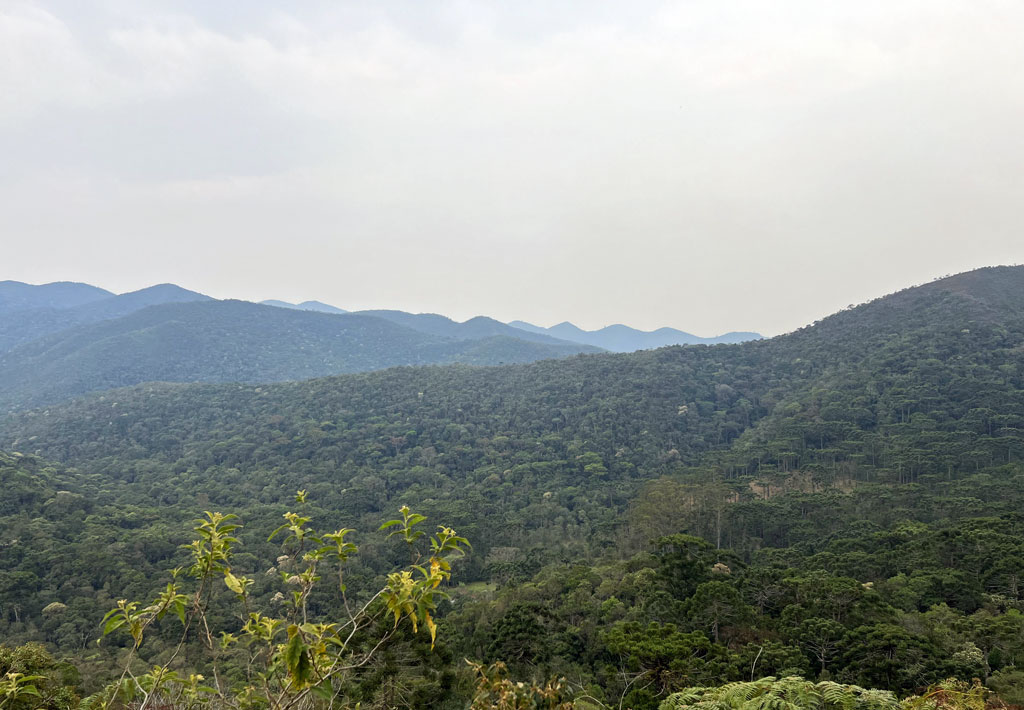 Parque Nacional da Serra da Bocaina