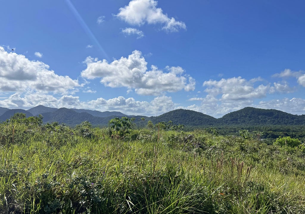Estação Ecológica da Juréia-Itatins